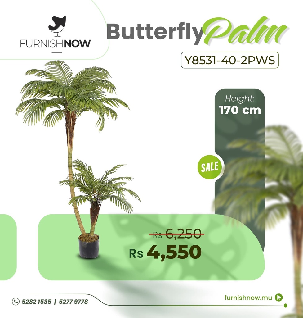 Butterfly Palm Y8531-40-2PWS