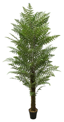 Phoenix Fern Tree Y8402-21K-1T